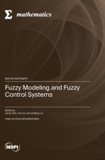 Fuzzy Modeling and Fuzzy Control Systems