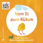 Vom Ei zum Küken