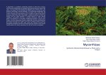 Mycorrhizae