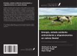 Energía, estado oxidante-antioxidante y oligoelementos en cabras Beetal