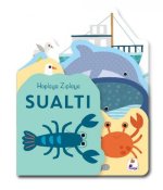 Hoplaya Ziplaya Sualti Ciltli