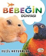 Bebegin Dünyasi Evcil Hayvanlar