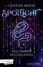 Spotlight. Nell'ombra dell'inganno