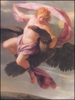 Metamorfosi. Illustrate dalla pittura barocca