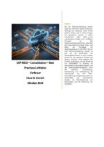 SAP Master Data Governance - Consolidation -Leitfaden