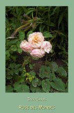Rose des Mondes