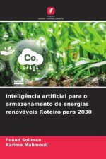 Inteligência artificial para o armazenamento de energias renováveis Roteiro para 2030