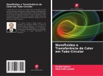 Nanofluidos e Transferência de Calor em Tubo Circular