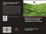 Détection des lésions à l'aide de la structure segmentée de la rétine