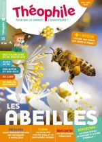 Théophile n°14