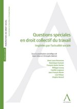 Droit collectif du travail - actualités