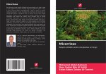 Micorrizas