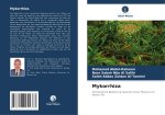 Mykorrhiza