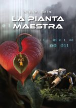 pianta maestra