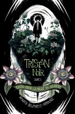 Tristan Noir - Cache-Coeur, la ville du bizarre