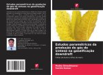 Estudos paramétricos da produção de gás de síntese na gaseificação downdraft