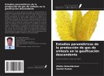 Estudios paramétricos de la producción de gas de síntesis en la gasificación descendente