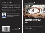 Visión anatómica de la glándula mamaria en la cabra