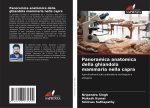 Panoramica anatomica della ghiandola mammaria nella capra