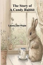 The Story of a Candy Rabbit