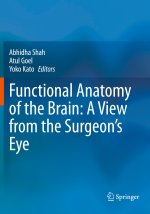 Functional Anatomy of the Brain: A View from the Surgeon?s Eye