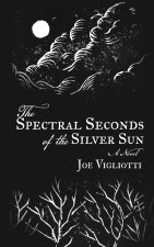 The Spectral Seconds of the Silver Sun