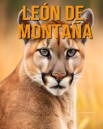 León de monta?a