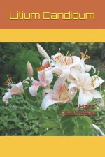 Lillium candidum