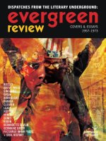 Dispatches from the Literary Underground: Evergreen Review Magazine Covers