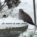 les oiseaux de notre jardin