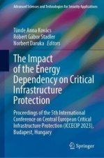 The Impact of the Energy Dependency on Critical Infrastructure Protection