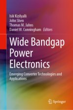 Wide Bandgap Power Electronics