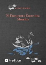 El Encuentro Entre dos Mundos