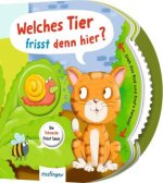 Dreh das Rad und find's heraus!