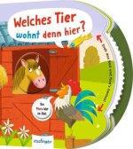 Dreh das Rad und find's heraus!