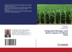 Integrated Nitrogen and Boron Impact on Maize Yield