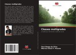 Classes multigrades