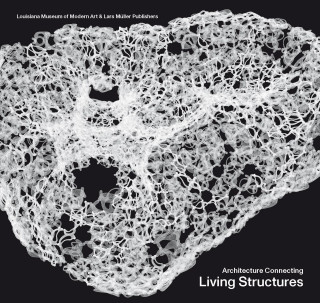 Architecture Connecting