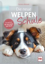 Der neue Welpenschule