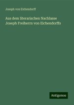 Aus dem literarischen Nachlasse Joseph Freiherrn von Eichendorffs