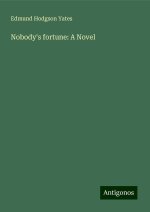 Nobody's fortune: A Novel