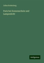 Paris bei Sonnenschein und Lampenlicht
