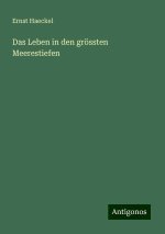 Das Leben in den grössten Meerestiefen