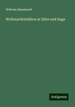 Weihnachtsblüten in Sitte und Sage