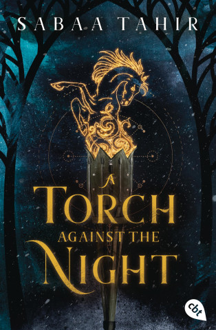 A Torch Against the Night (Barbara Imgrund)(Brožovaná)