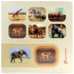 BUSCA Y ENCUENTRA ANIMALES SALVAJES