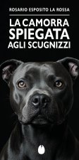 camorra spiegata agli scugnizzi