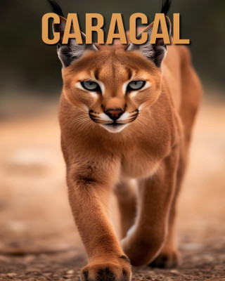 Caracal