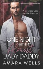 One Night With My Almost Baby Daddy