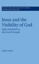 Jesus and the Visibility of God